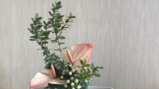 可愛いピンクのアンスリュームを飾る｜柊やヒムロスギを使って玄関におすすめのクリスマス風いけばな