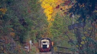 紅葉スポット・東海エリア(岐阜・愛知・長野・滋賀)17ヶ所のGood point