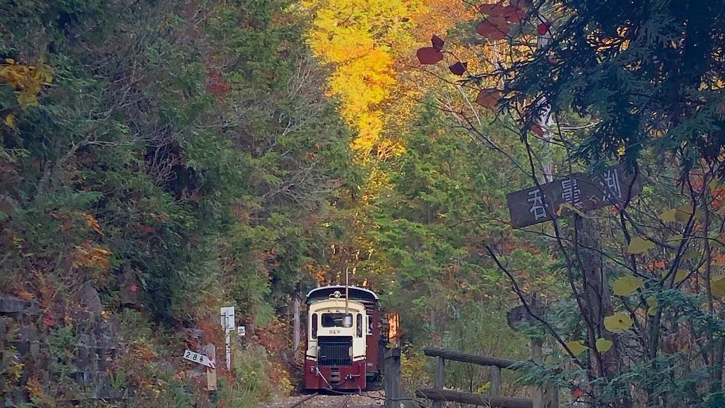 紅葉スポット・東海エリア（岐阜・愛知・長野・滋賀）17ヶ所のGood point