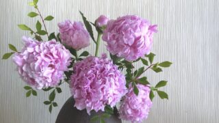 花を贈るならどこがいい？おすすめの通販サイト3社と、フラワーギフト通販９社で違いを比較！