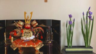 【5月5日は端午の節句】菖蒲（ショウブ）・花菖蒲・杜若（カキツバタ）・アイリスの違いと、いけばな実例3選