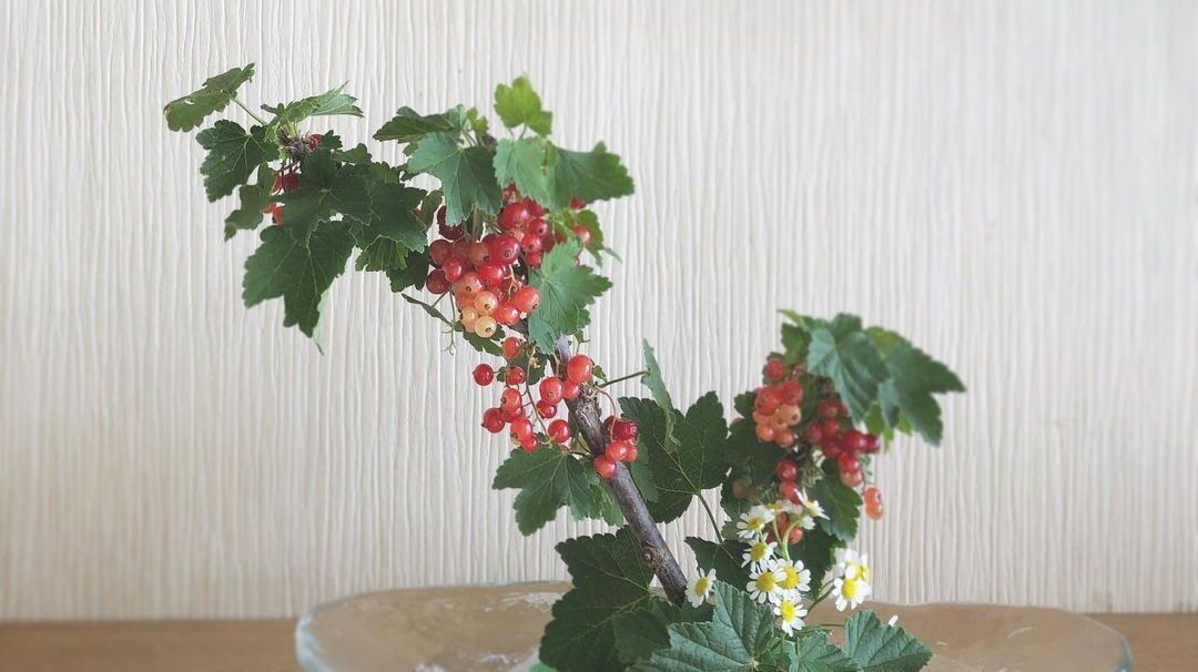 切り花をリメイク！花の生け直し術をマスターして花のある日常を楽しみましょう