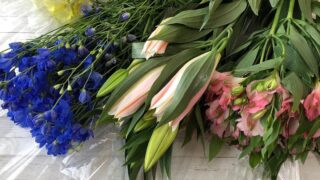 切り花(生花)を長持ちさせる基本の方法と裏技/簡単なコツと花別のケア方法