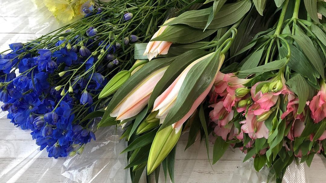 切り花（生花）を長持ちさせる基本の方法と裏技/簡単なコツと花別のケア方法