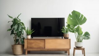 初心者でも安心！人気の観葉植物７選：育てやすさランキングで選ぶおすすめのグリーン