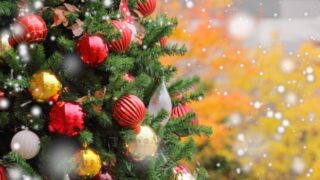 冬のお部屋をもっと素敵に。クリスマスを彩るグリーンの選び方・使い方・購入まとめ