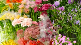 花屋さんの選び方|プロ目線で解説する良い花屋の見分け方とチェックポイント
